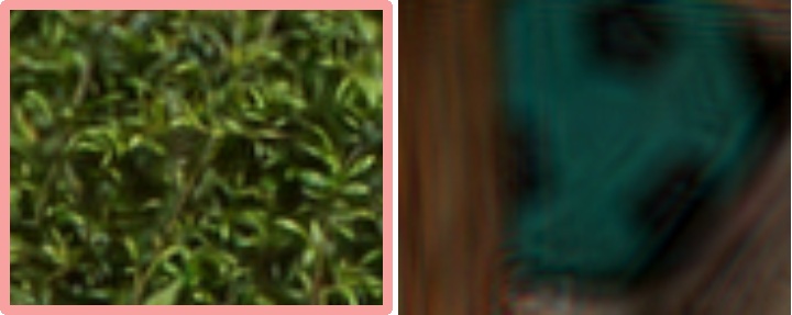 Simulated garden — GWS, Far
